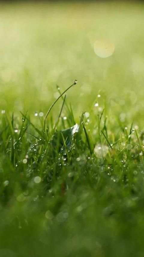 HD Backgrounds(Wallpaper) screenshot 9