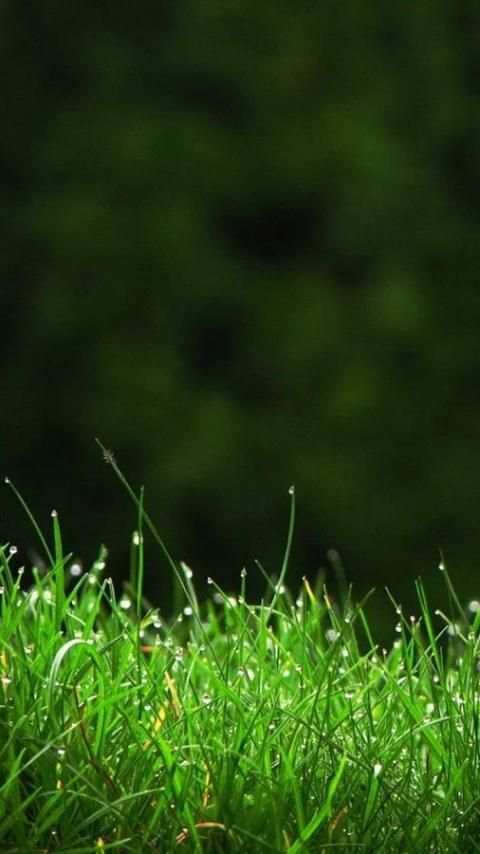 HD Backgrounds(Wallpaper) screenshot 1