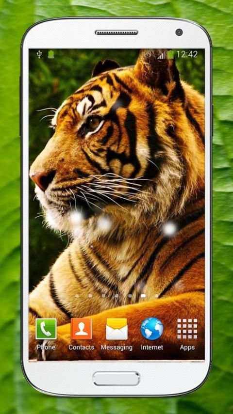 Bengal Tiger Live Wallpaper screenshot 7