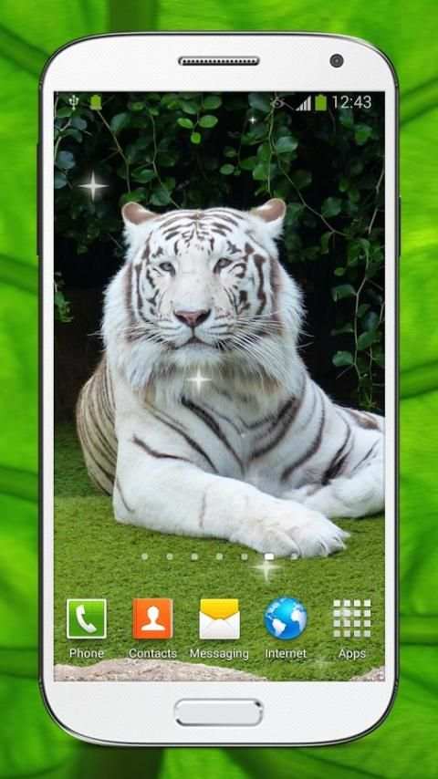 Bengal Tiger Live Wallpaper screenshot 6
