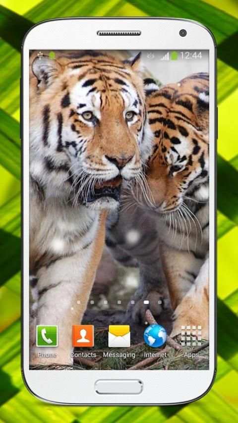 Bengal Tiger Live Wallpaper screenshot 4