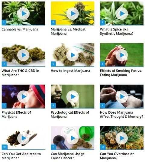 Ganja screenshot 3