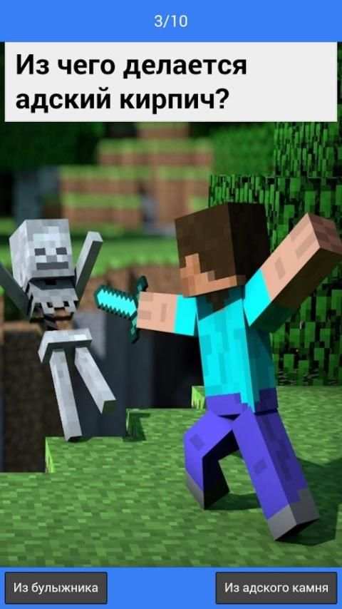 Тест "Minecraft Edition" screenshot 3