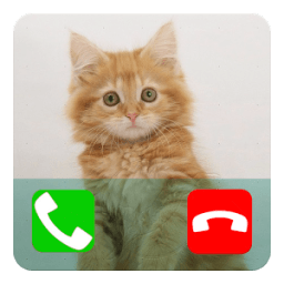 Talking Cat Calling Prank आइकन