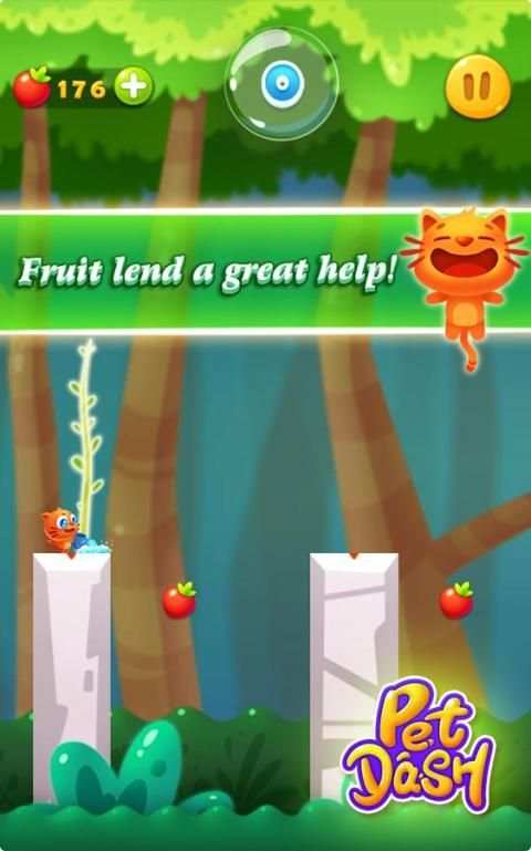 Pet Dash скриншот 2