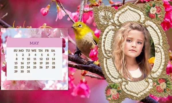 Calendar Photo Posters 2016 3 تصوير الشاشة