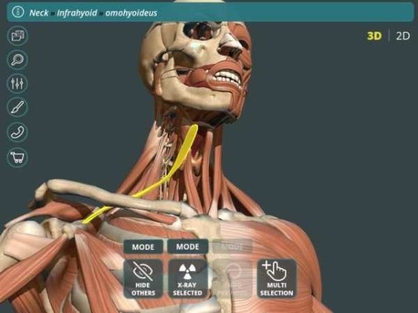 Visual Anatomy 3D | Human स्क्रीनशॉट 7