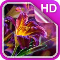 Flowers Live Wallpaper HD on 9Apps