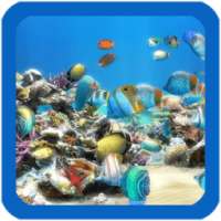 Aquarium Live Wallpaper on 9Apps
