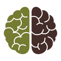 Mini Quiz أيقونة