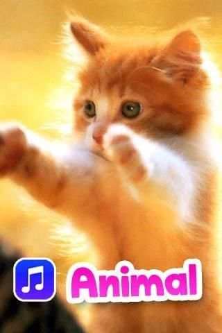 Animal Sounds Ringtones 2 تصوير الشاشة