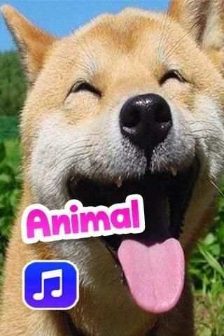 Animal Sounds Ringtones скриншот 1