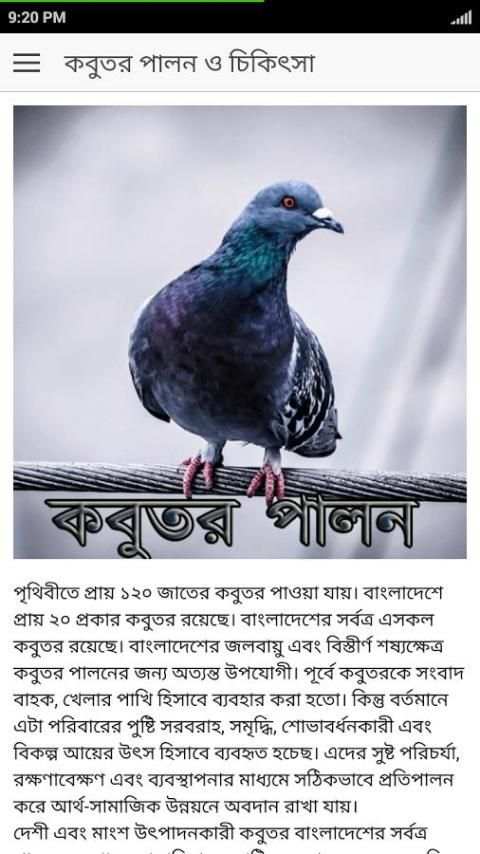 কবুতর পালন ও চিকিৎসা скриншот 8