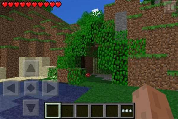 Multicraft Pro Edition скриншот 1