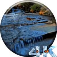 Stream HD Video Wallpaper on 9Apps