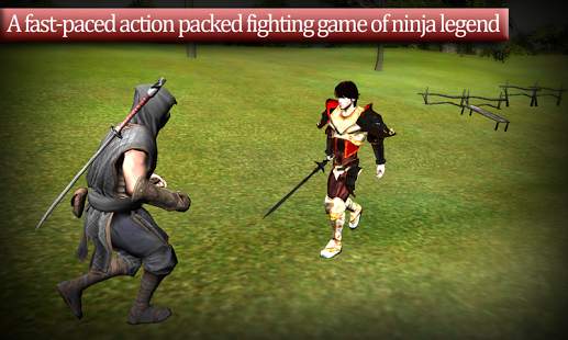 The last Ninja Assassinator screenshot 3