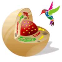 Animated Biology GSEB 12-2-3 on 9Apps