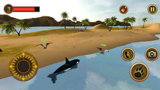 Orca Survival Simulator screenshot 13