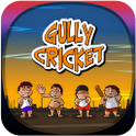 ikon Gully Cricket