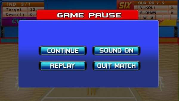 Beach Cricket 2016! screenshot 1