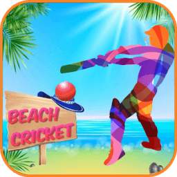 Beach Cricket 2016 1.7