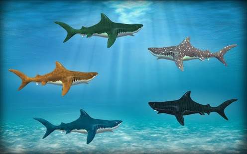 Shark Attack Simulator 3D 7 تصوير الشاشة