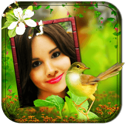 Birds Photo Frames LWP icon