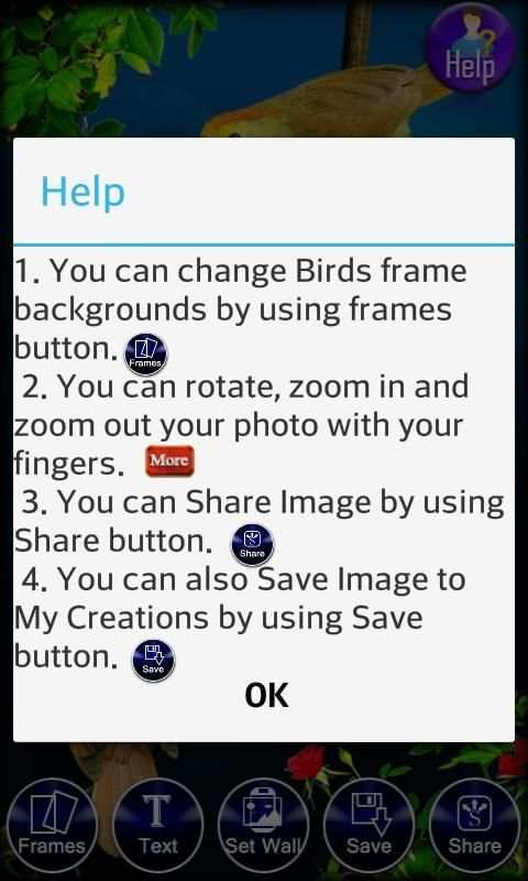 Birds Photo Frames LWP स्क्रीनशॉट 3