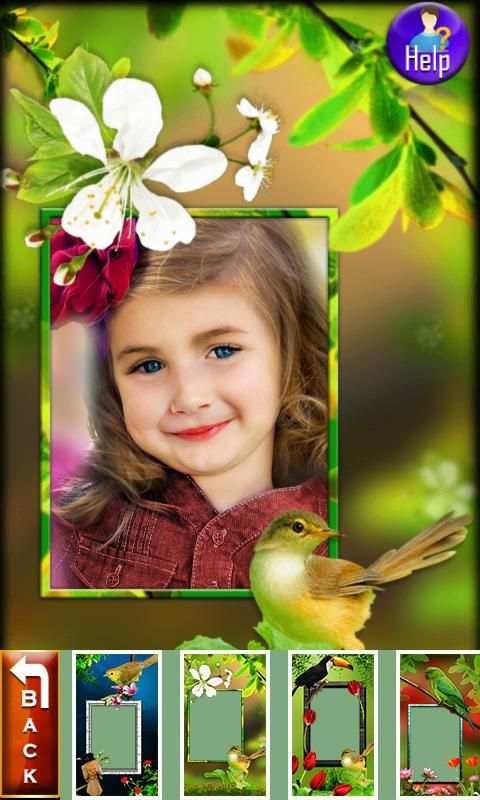 Birds Photo Frames LWP screenshot 8