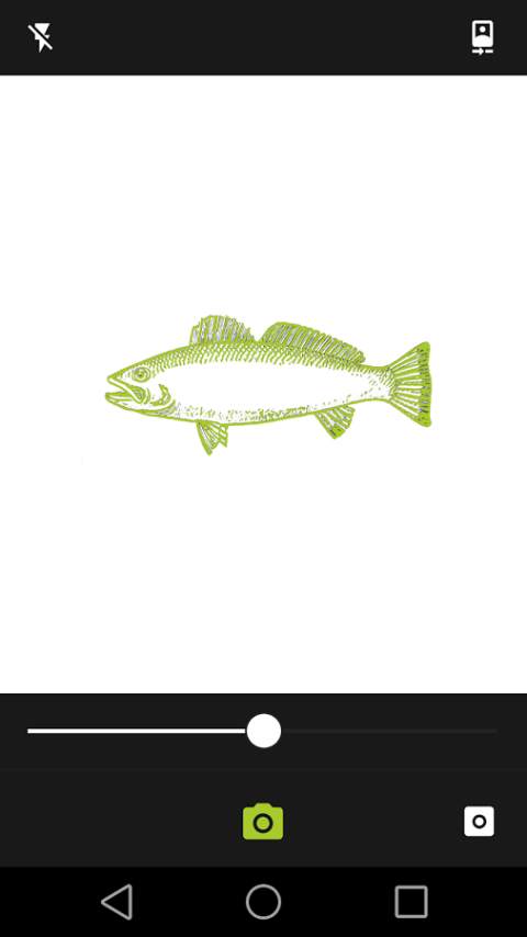 Adobe Shape CC screenshot 1