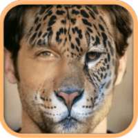 Animal Faces - Face Morph on 9Apps