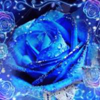 Blue Diamond Lover