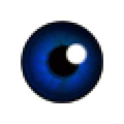 One Eye Browser Beta (Camera)