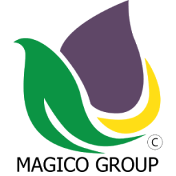 ikon Magico Group