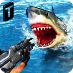 Shark Sniping 2016