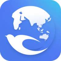 Swift Browser