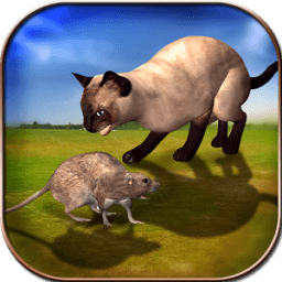 Angry Cat VS Mouse أيقونة