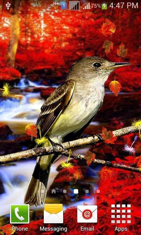 Cute Birds Live Wallpaper 7 تصوير الشاشة