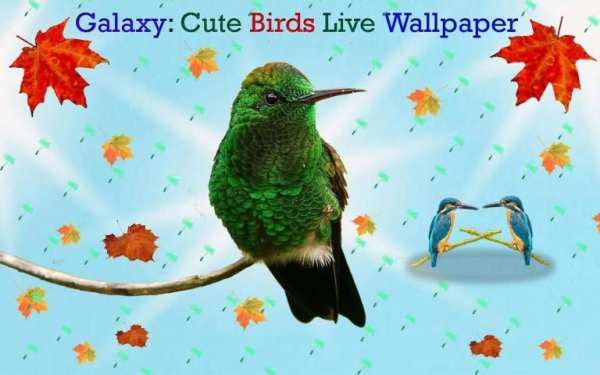 Cute Birds Live Wallpaper 6 تصوير الشاشة
