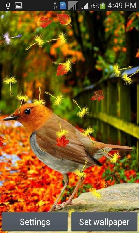 Cute Birds Live Wallpaper 5 تصوير الشاشة