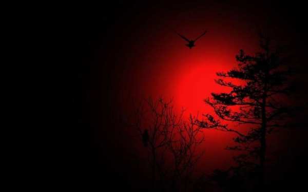 Twilight Live Wallpaper screenshot 3