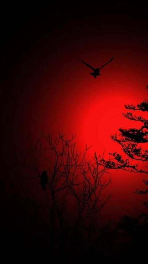 Twilight Live Wallpaper screenshot 5