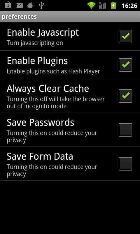 Incognito Browser screenshot 1