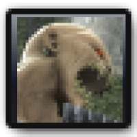 Mortal Kombat: aHome Theme on 9Apps