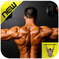 Back Exercise on 9Apps