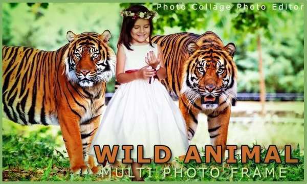 Wild Animal Photo Frame Multi स्क्रीनशॉट 2