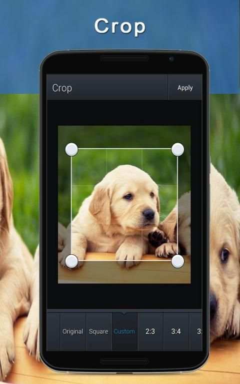 Photo Editor Master - Pro 4 تصوير الشاشة