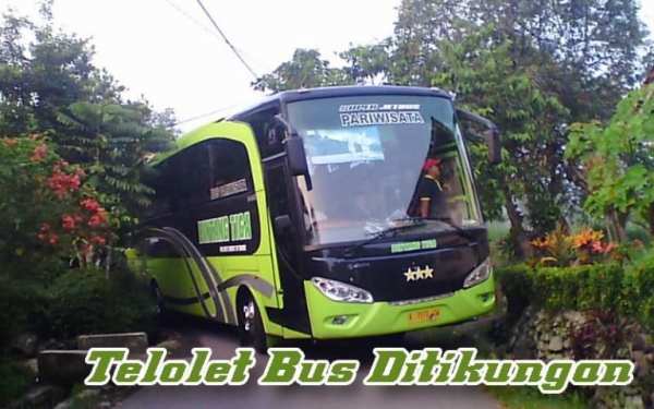 Telolet Bus Terbaru 3 تصوير الشاشة