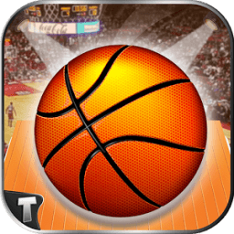 Basket Ball Pro أيقونة