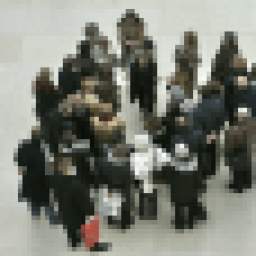 Sociology 1.04
